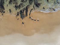 Portugal Coastal Landscape: An Aerial View