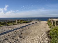 a dirt path next to the ocean near a beach with a bench that overlooks the water