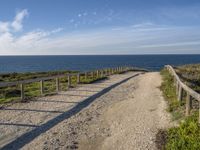 a dirt path next to the ocean near a beach with a bench that overlooks the water