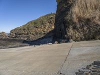 a cat lies near the edge of a beach and cliffs in the background are many sea rocks