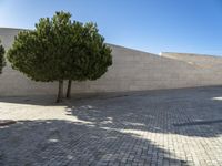 Cobblestone Road in Portugal: Under a Clear Sky