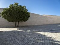 Cobblestone Road in Portugal: Under a Clear Sky