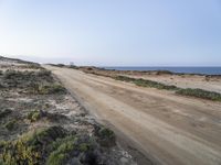 Portugal Dirt Road Through Coastal Grassland