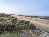 Portugal Dirt Road Through Coastal Grassland