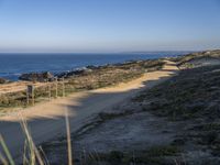 the dirt road leading to the shore is empty and sandy on the other side is an ocean