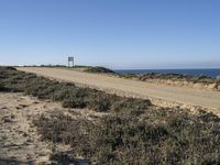 Portugal Grassy Plain on Asphalt Road 002