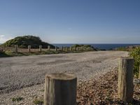 Portugal Landscape: A Beautiful Nature Plain with Wood