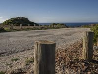 Portugal Landscape: A Beautiful Nature Plain with Wood