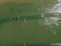Portugal's Open Coastal Beach: Top Down View