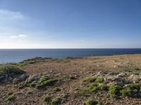 Open Space in Portugal: Green Grass and Azure Sky