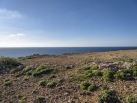 Open Space in Portugal: Green Grass and Azure Sky