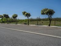 Portugal Parking Lot Under Clear Sky