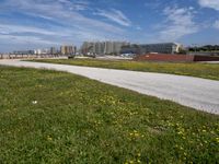 green grass next to a road in front of a beach with buildings on the other side