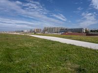 green grass next to a road in front of a beach with buildings on the other side