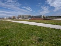 green grass next to a road in front of a beach with buildings on the other side