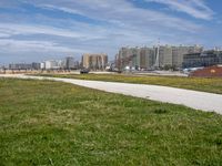 green grass next to a road in front of a beach with buildings on the other side