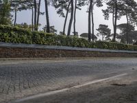 Portugal's Porto: Residential Area with Cobblestone Road