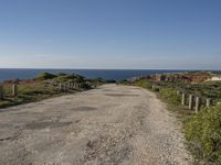 Straight Road with Armco Barrier and Clear Sky in Portugal