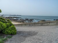 Portugal: Road to the Ocean on a Concrete Street