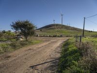 a rural dirt road near wind turbines and a grassy hill with grass on both sides