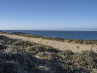 Portugal's Sand Street: Exploring the Coastal Terrain