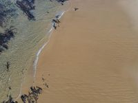 Portugal: Top Down View of Coastal Beach