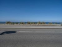 Portugal's Coastal Road in Porto Under a Clear Sky