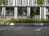 Profile of an Office Building in Berlin with Cobble Stone Surface