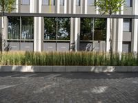 Profile of an Office Building in Berlin with Cobble Stone Surface