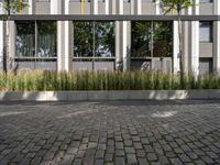 Profile of an Office Building in Berlin with Cobble Stone Surface