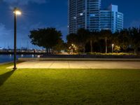 a view of a grassy area with a building in the background at night in miami