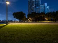 a view of a grassy area with a building in the background at night in miami