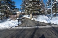 a yellow line painted on the side of a road near snow covered trees and trees