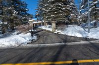 a yellow line painted on the side of a road near snow covered trees and trees