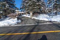 a yellow line painted on the side of a road near snow covered trees and trees