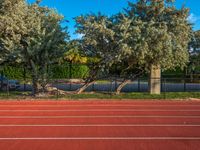 two trees on a brick tennis court near a fence and gate with a small tree in the middle