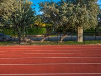 two trees on a brick tennis court near a fence and gate with a small tree in the middle