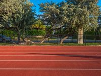 two trees on a brick tennis court near a fence and gate with a small tree in the middle