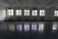 Line of Property Windows in a Monochrome Hallway