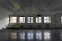 Line of Property Windows in a Monochrome Hallway