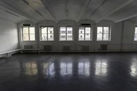 Line of Property Windows in a Monochrome Hallway