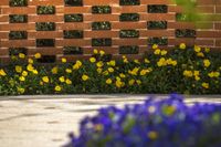 flowers planted next to a brick wall and tree stumps in the foreground of the flowers