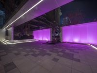 a large outdoor building lit with purple lighting next to benches and stairs lit up at night