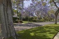 Purple Rain in Los Angeles, California, USA