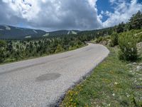 Road through the Pyrenees: A Serene Path in Rural Spain