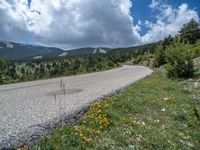 Road through the Pyrenees: A Serene Path in Rural Spain