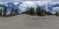 a panorama image of an empty road and pine trees with clouds behind it as seen in fish eye lens