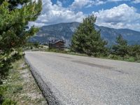 Pyrenees, Spain: Road Through a Lush Green Landscape