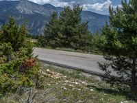 Pyrenees, Spain: Winding Road Through a Serene Landscape