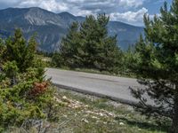 Pyrenees, Spain: Winding Road Through a Serene Landscape